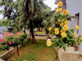 Guest house near Varna